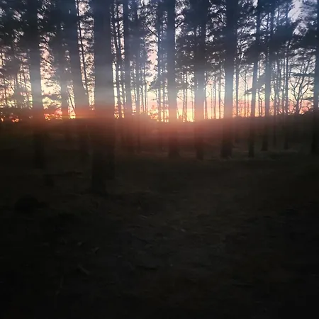 Apartamentai Vilma Połąga