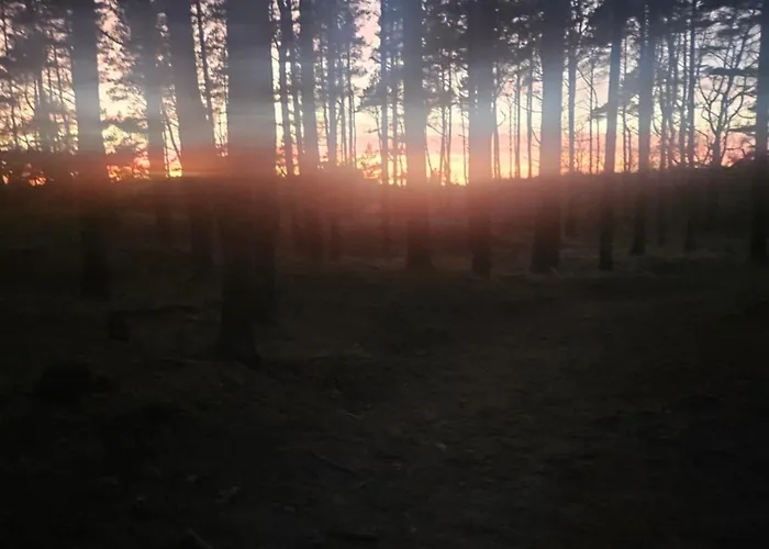 Apartamentai Vilma بالانغا